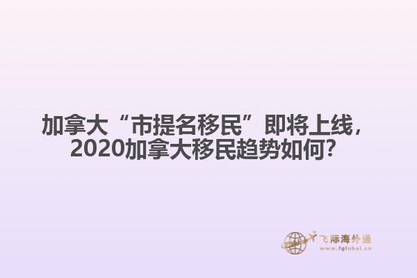 加拿大“市提名移民”即將上線，2020加拿大移民趨勢(shì)如何？
