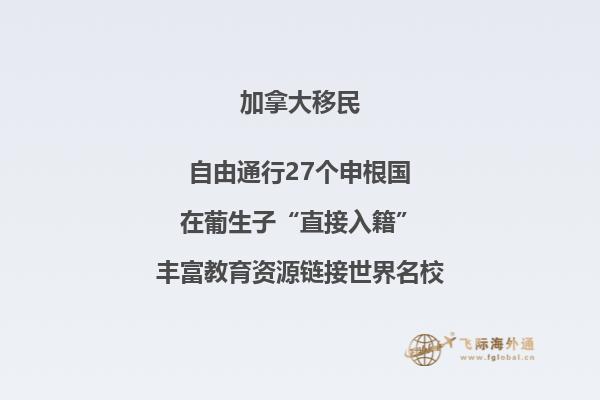 加拿大NB省企業(yè)家移民申請條件如何，你能申請嗎？