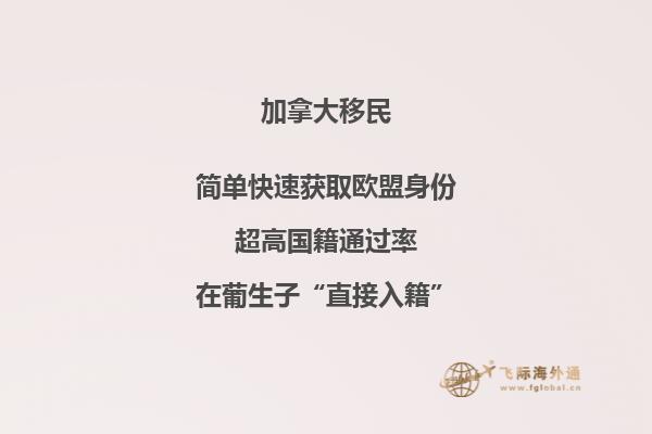 晚上燈火通明的城堡建筑