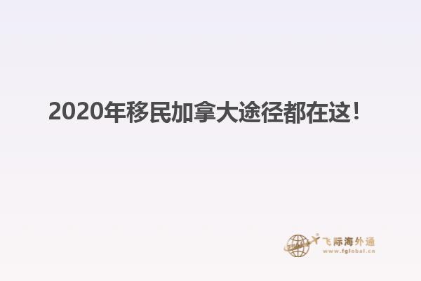 2020年移民加拿大途徑都在這！