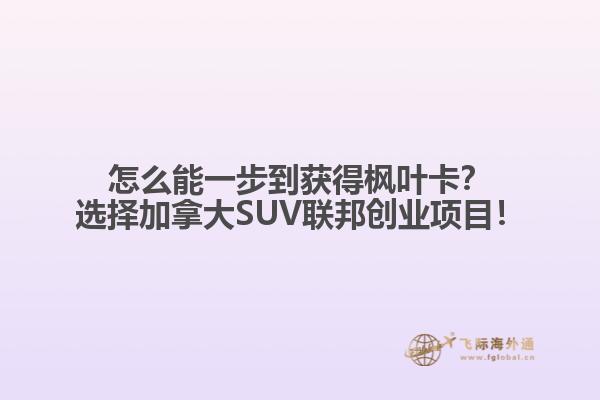 怎么能一步到獲得楓葉卡？選擇加拿大SUV聯(lián)邦創(chuàng)業(yè)項目！