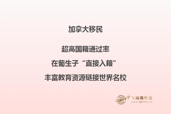 加拿大簽證網(wǎng)上申請進度查詢申請?zhí)柺鞘裁? width=