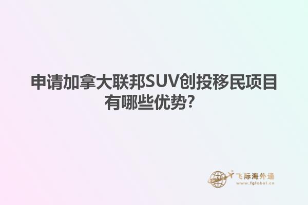 申請加拿大聯(lián)邦SUV創(chuàng)投移民項目有哪些優(yōu)勢？