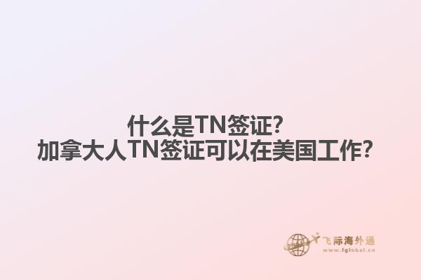 什么是TN簽證？加拿大人TN簽證可以在美國(guó)工作？