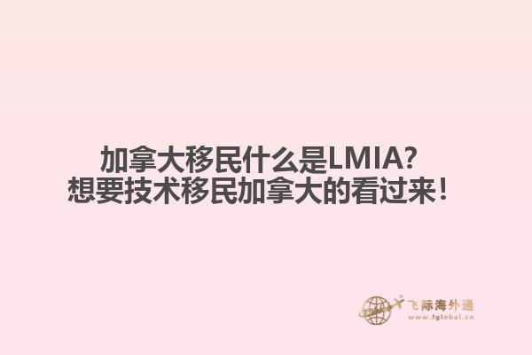 加拿大移民什么是LMIA？想要技術(shù)移民加拿大的看過來！