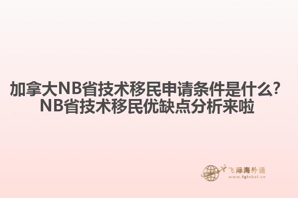 加拿大NB省技術(shù)移民申請(qǐng)條件是什么？NB省技術(shù)移民優(yōu)缺點(diǎn)分析來(lái)啦 